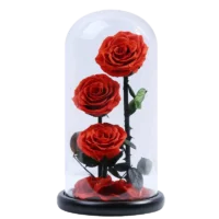 Three red preserved roses in glass dome by UKIQUEEN, perfect for wholesale and custom gifts from China.
