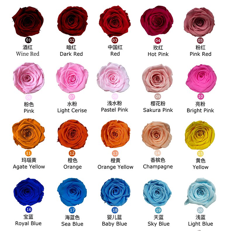 UKIQUEEN Heart Preserved Rose Dome - 30+ Color Options Chart (Red Pink Blue Orange Yellow)