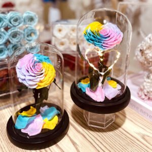 UKIQUEEN Heart Preserved Rose Dome in Rainbow Colors - Multi-Angle Eternal Flower View