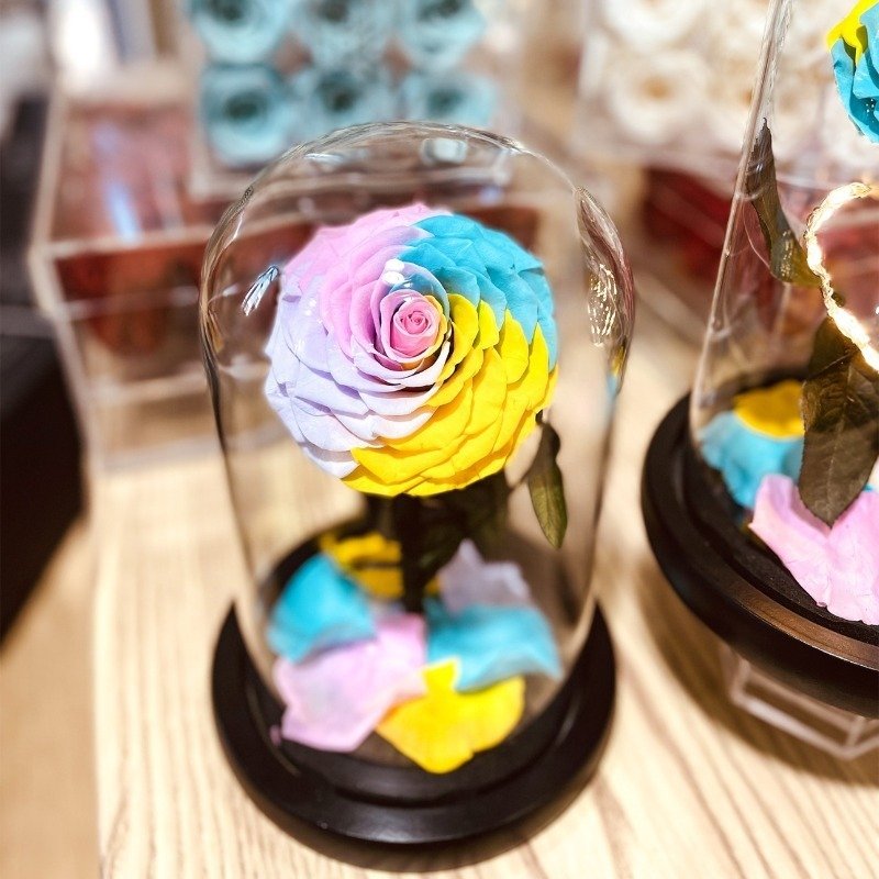 UKIQUEEN Heart Preserved Rose Dome Rainbow 12x20cm - Dual Variant Comparison Display