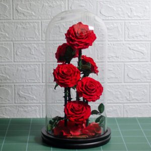 UKIQUEEN Preserved 6 Roses in Glass Dome Red 20x40cm - Elegant 6-Stem Eternal Rose Display