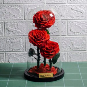 UKIQUEEN Preserved Rose Glass Dome 3 Red Roses with Stem - Premium Gold Logo on Brick Wall Background