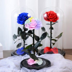 UKIQUEEN Preserved Rose Glass Dome - Rainbow Blue Red Eternal Roses Romantic Setup
