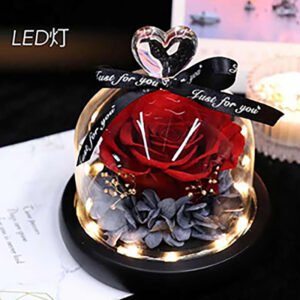 UKIQUEEN Preserved Rose Glass Dome in Red with LED Light - Romantic Valentine Setup