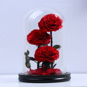 UKIQUEEN Preserved Rose in Glass Dome Red 20×30cm - Complete 3 Roses with Stem Display