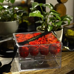 UKIQUEEN Preserved Rose Jewelry Box Red Multi Roses - Black Ribbon with Indoor Plant Decor
