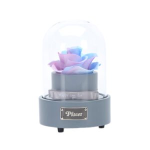 UKIQUEEN Preserved Rose Music Box Pisces Gradient 10×15cm - Romantic Zodiac Eternal Rose with Music