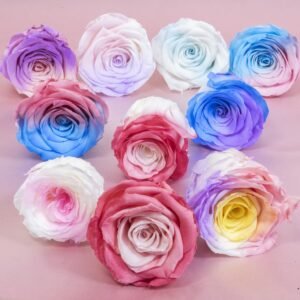 Collection of rainbow preserved rose heads in various pastel gradients