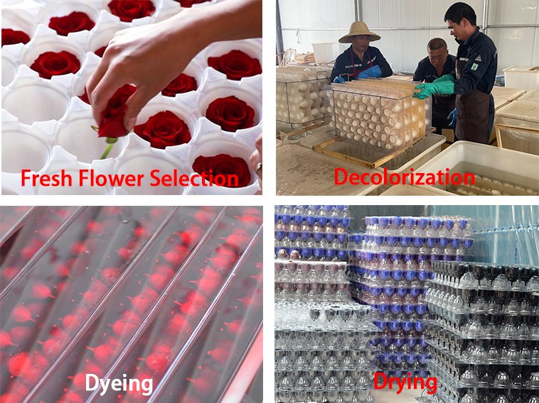 preserved flowers making process