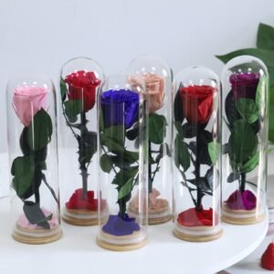 Wholesale Long Stem Preserved Rose in Tall Glass Dome Multicolor Collection Display