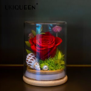 UKIQUEEN Mini Preserved Rose Glass Dome Front View with Red Rose and Sea Shell