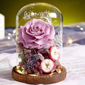 UKIQUEEN Eternal Preserved Rose in Glass Dome with LED Lights Purple Pink Eternal Rose & Dried Flowers Illuminated