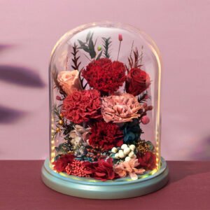 Large Red Preserved Carnation Glass Dome with LED Lights for Mother's Day