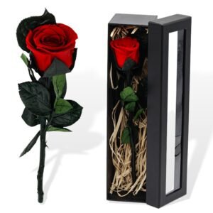 Classic Red Single Stem Preserved Rose with Black Window Gift Box Packaging
