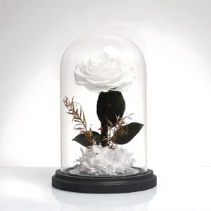 Preserved Rose in Glass Dome Pure White Eternal Rose - Elegant Preserved Rose with Dried Flowers