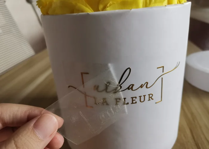 af0f3301cc2dc59e0121895dd315ffb