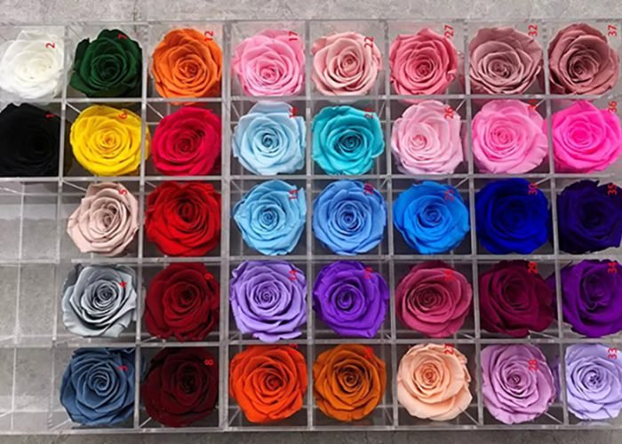 fe42fa1f da1e 4eef 8198 4b14d5baa0a2